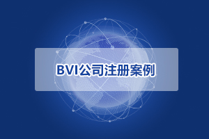 BVI公司注冊案例