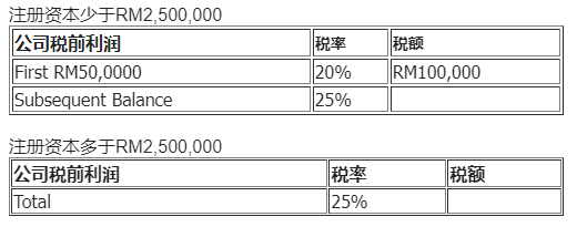 馬來西亞公司的年審