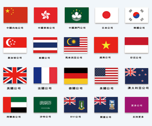 企业出海落地服务