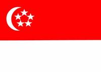 新加坡公司
